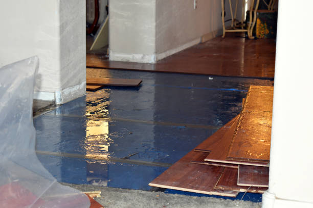 Professional Flood Damage Repair technician working in McLean, TX